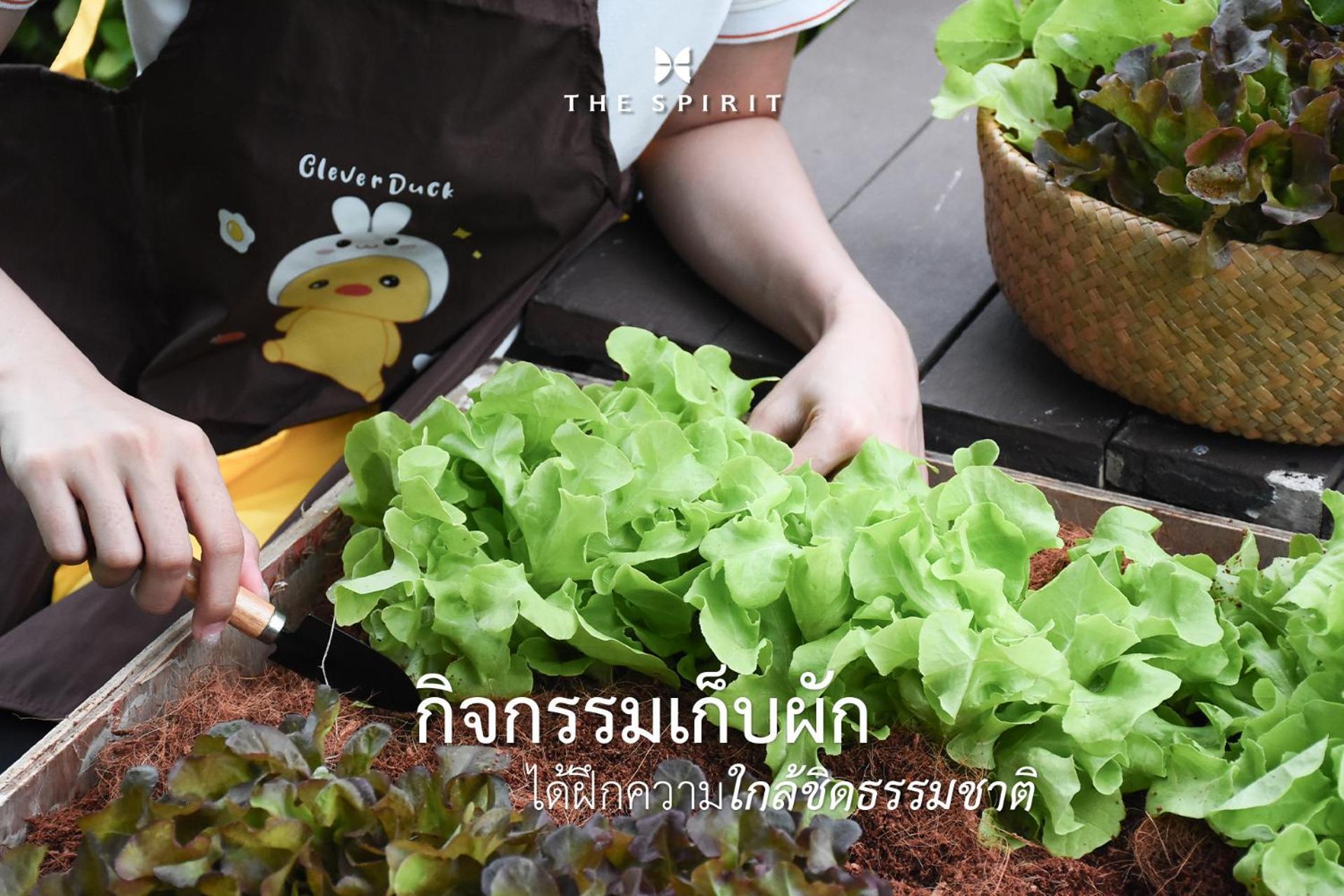 The Spirit Resort Hua Hin Кхао Тао Экстерьер фото